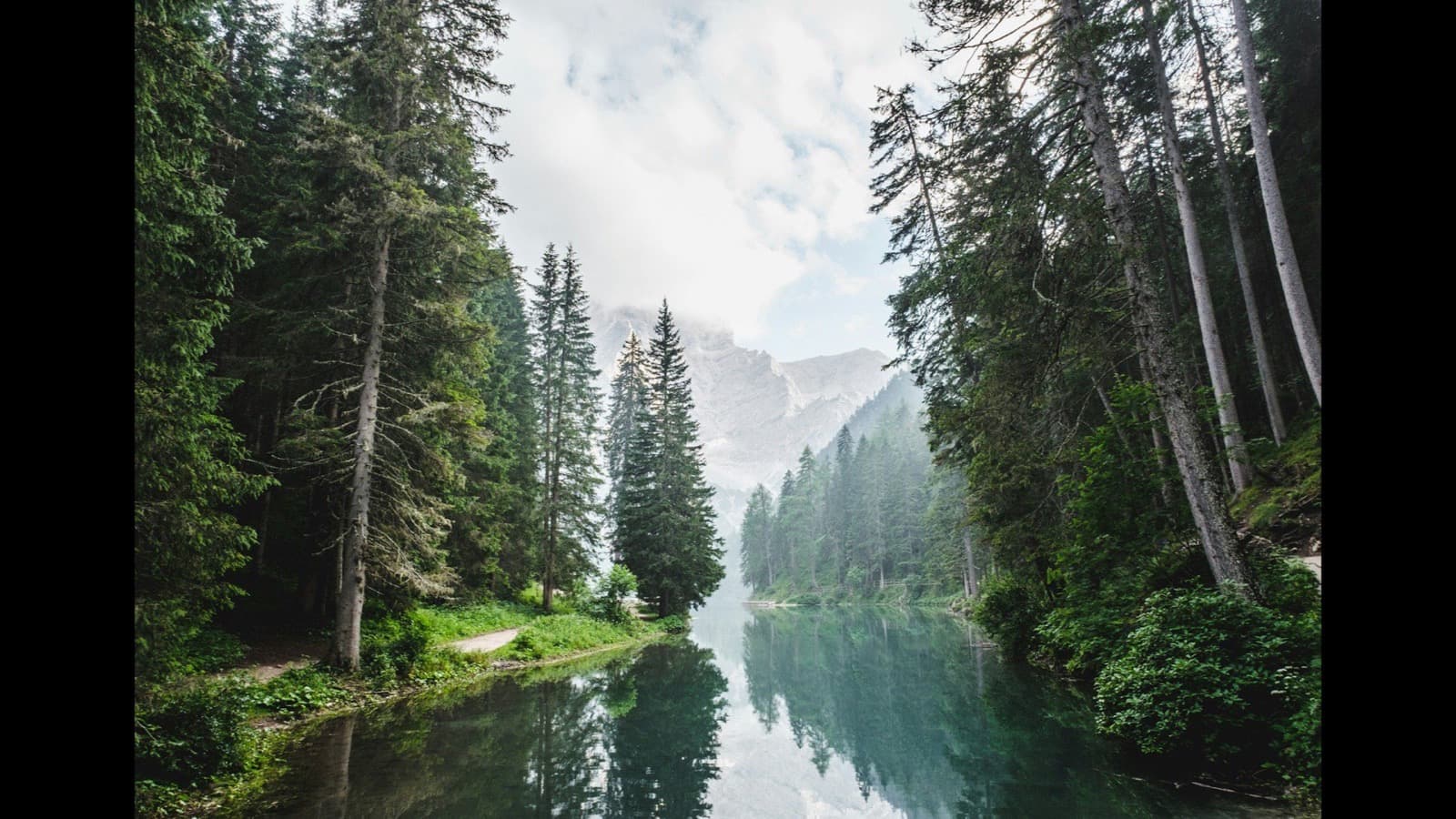 Développeur web Landes — forêt de pins paysage Sud-Ouest